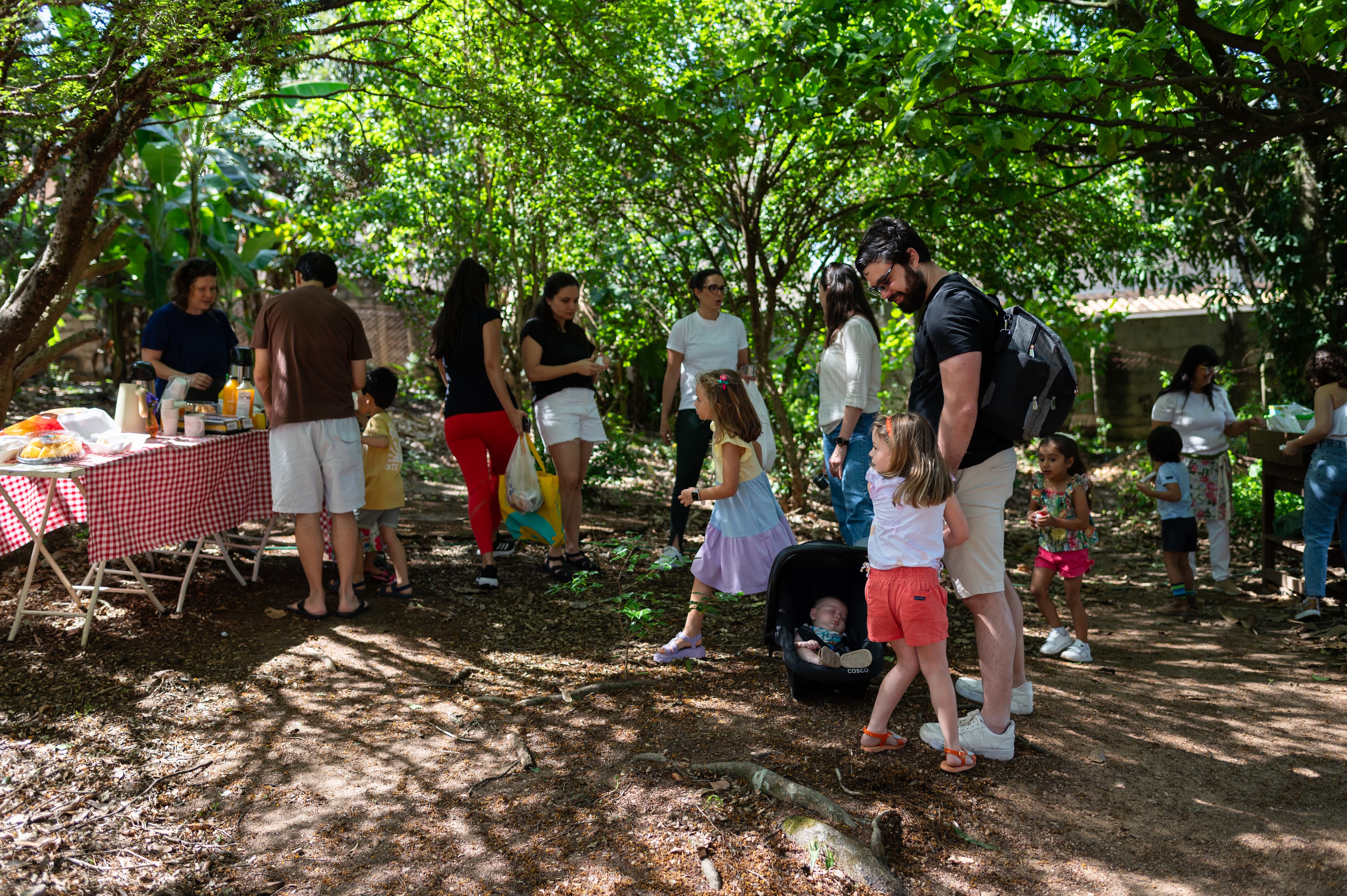 Bosque Escola Waldorf